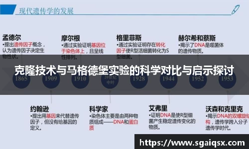 万博max入口