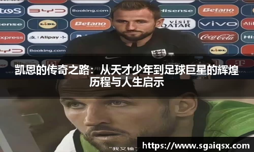 万博max平台